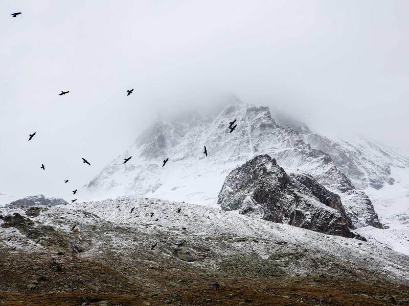 sudoku irregular boxes